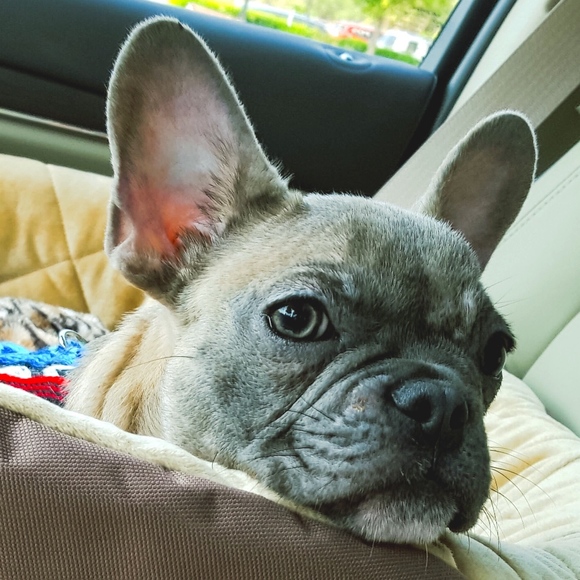 Meet your Posher, Lori - Picture 1 of 1